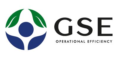 GSE LLC